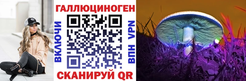 Псилоцибиновые грибы прущие грибы  Шлиссельбург 